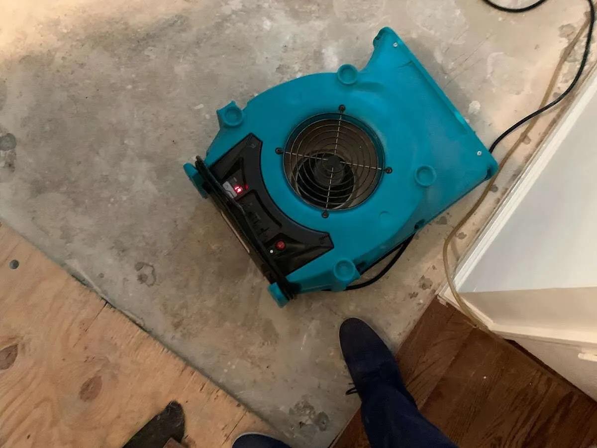 Air mover drying subfloor during Commercial Water Damage Restoration in Warren
