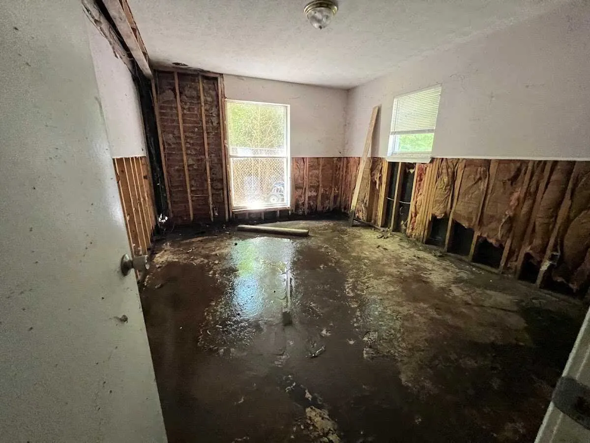 Flood Damage Cleanup in Warren, MI